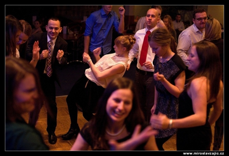 IMG 2253